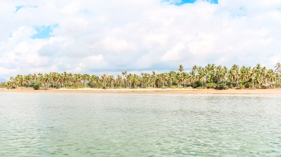 豪门国际官网-追求康健,你我一起生长