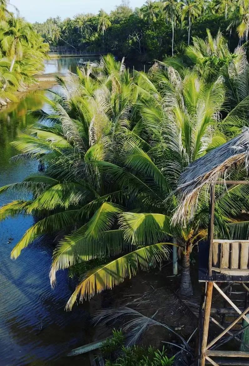 豪门国际官网-追求康健,你我一起生长