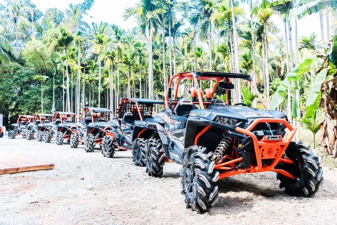 豪门国际官网-追求康健,你我一起生长