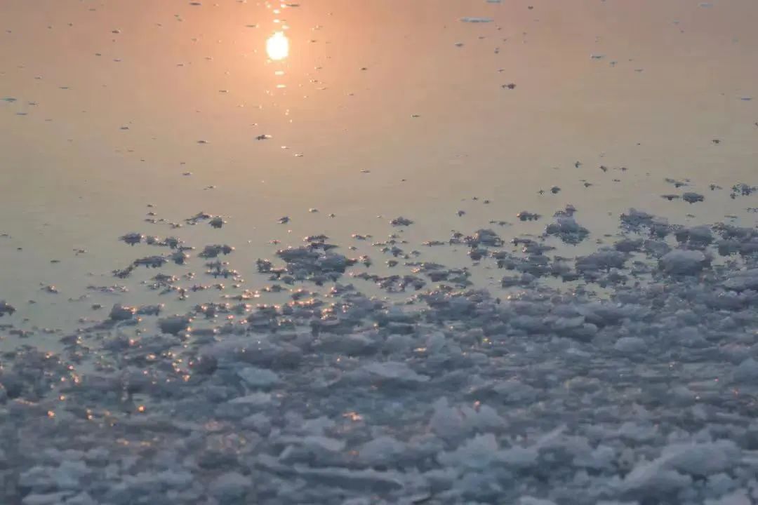 豪门国际官网-追求康健,你我一起生长