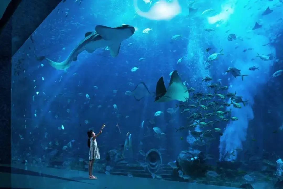 豪门国际官网-追求康健,你我一起生长