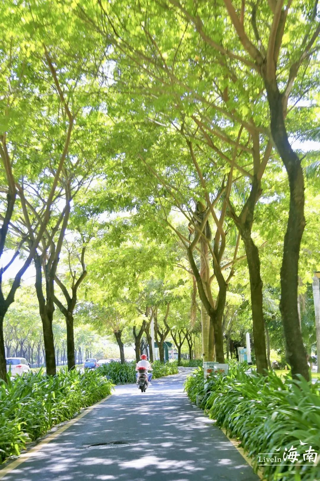 豪门国际官网-追求康健,你我一起生长