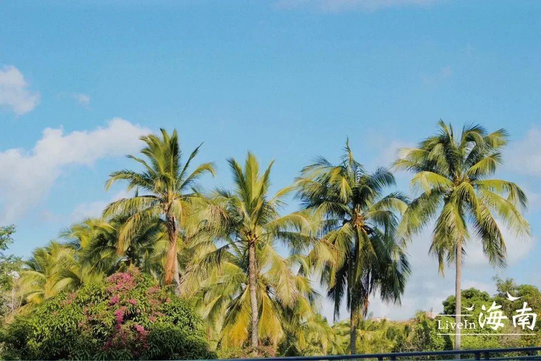 豪门国际官网-追求康健,你我一起生长