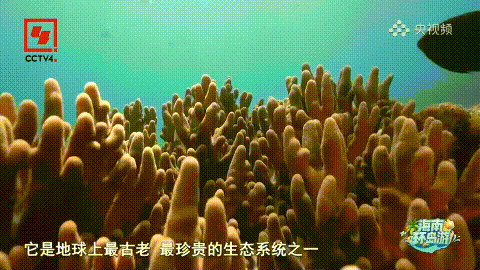 豪门国际官网-追求康健,你我一起生长