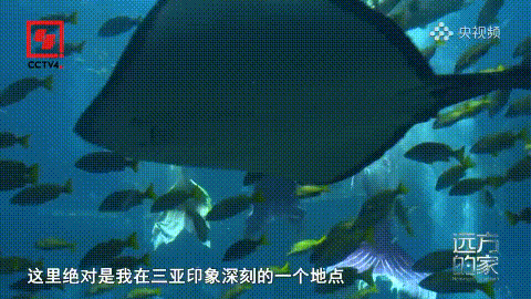 豪门国际官网-追求康健,你我一起生长