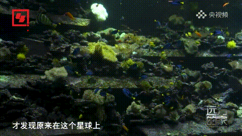 豪门国际官网-追求康健,你我一起生长