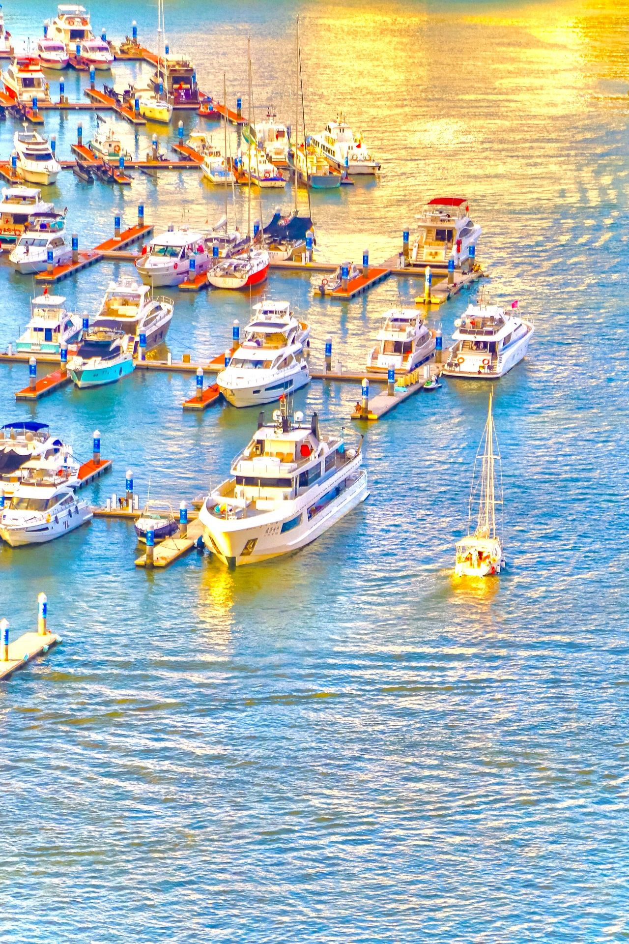 豪门国际官网-追求康健,你我一起生长