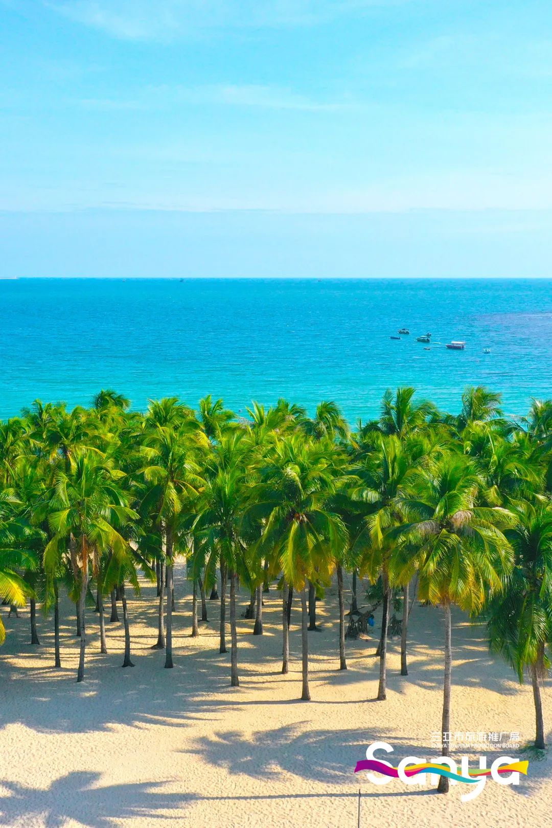 豪门国际官网-追求康健,你我一起生长