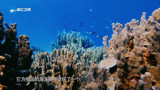 豪门国际官网-追求康健,你我一起生长