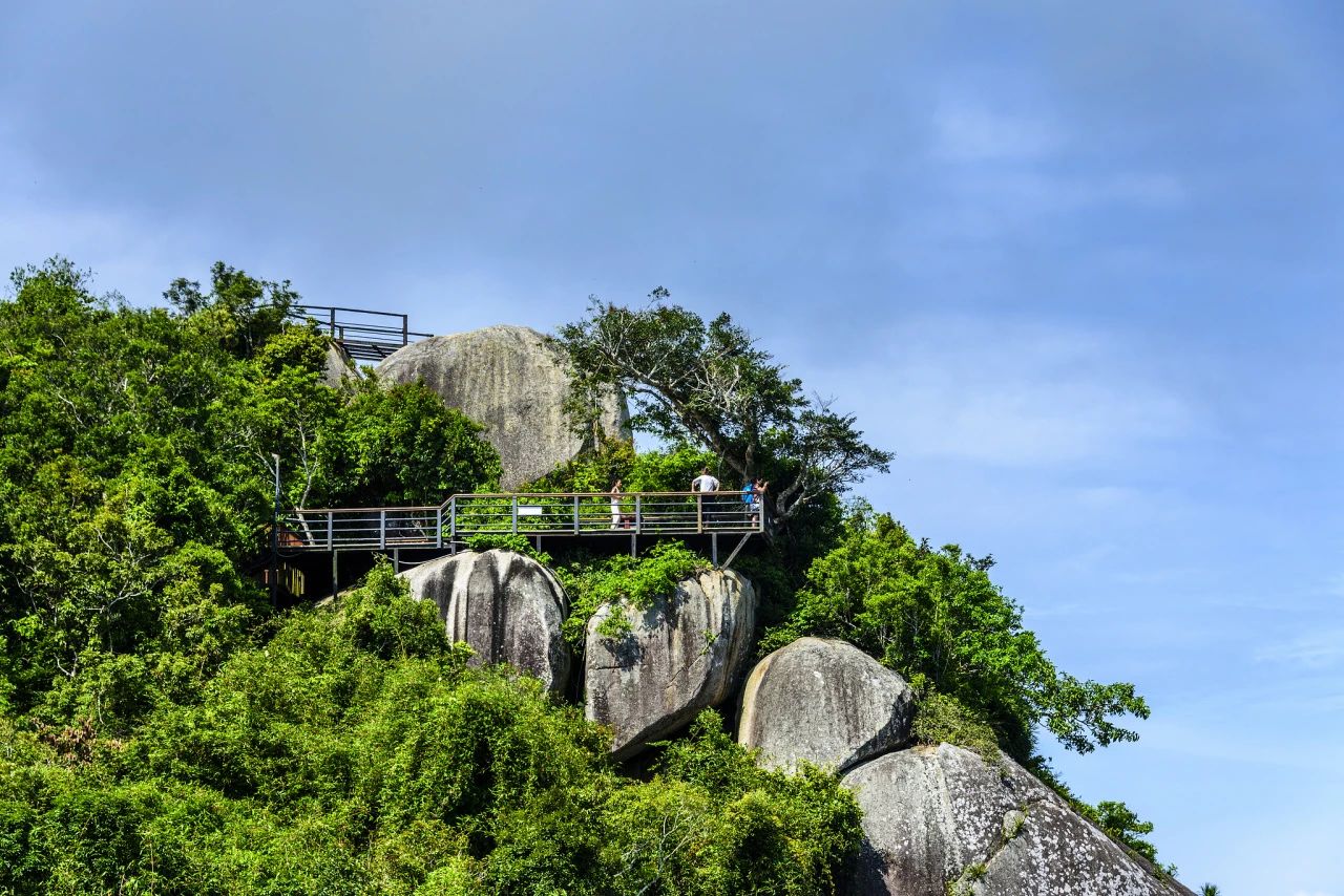 豪门国际官网-追求康健,你我一起生长