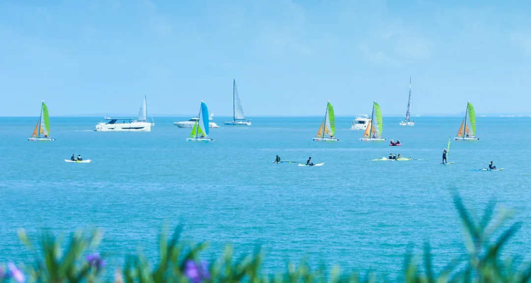 豪门国际官网-追求康健,你我一起生长