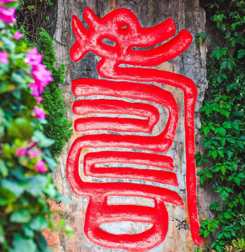 豪门国际官网-追求康健,你我一起生长