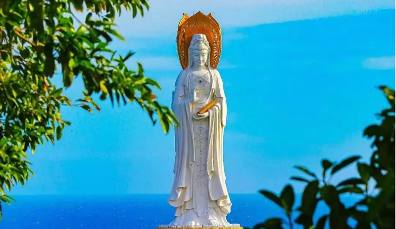 豪门国际官网-追求康健,你我一起生长