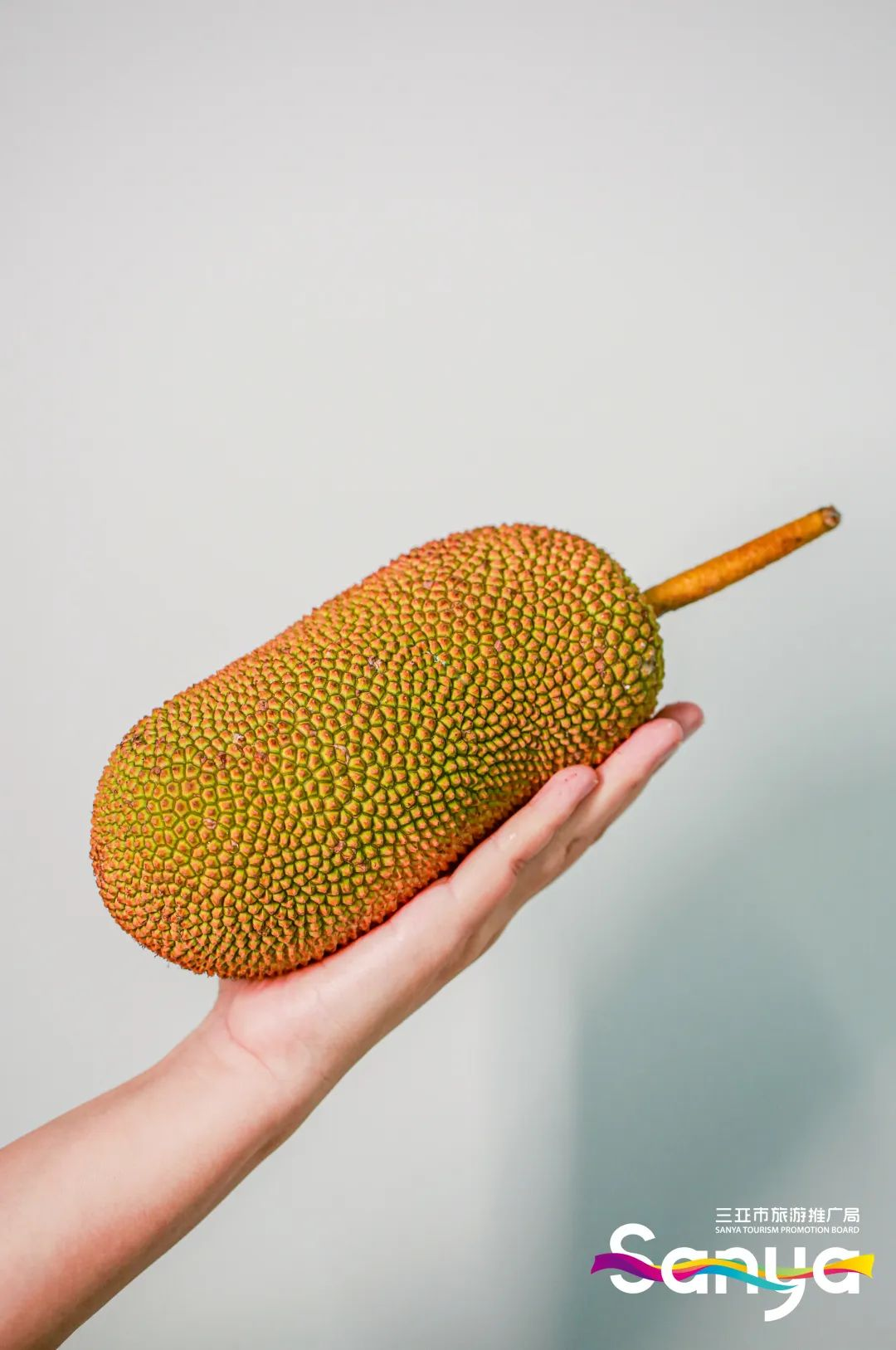 豪门国际官网-追求康健,你我一起生长