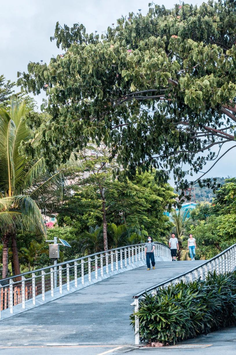 豪门国际官网-追求康健,你我一起生长