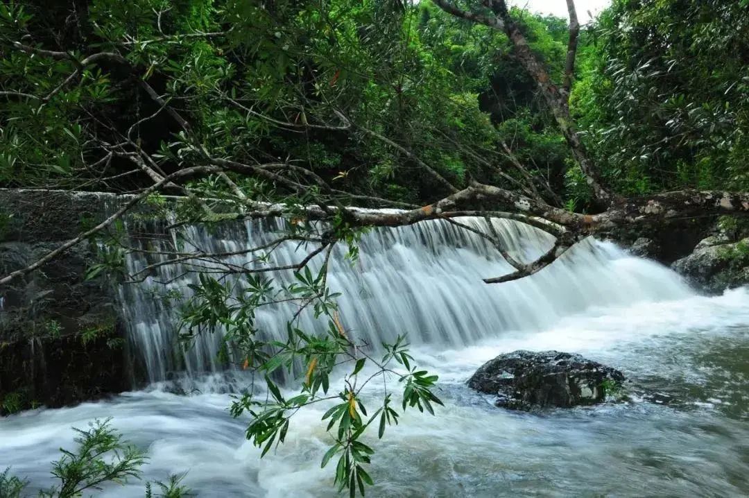 豪门国际官网-追求康健,你我一起生长
