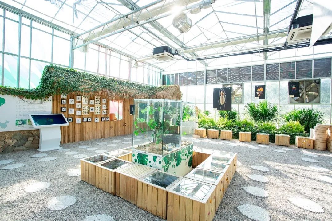 豪门国际官网-追求康健,你我一起生长