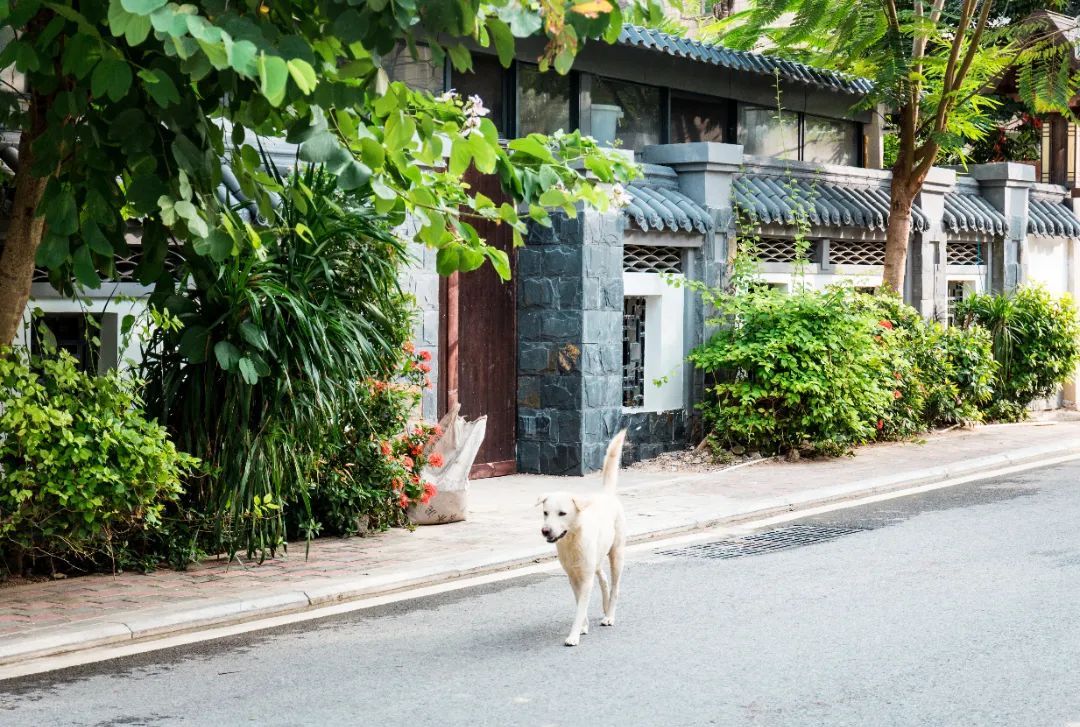 豪门国际官网-追求康健,你我一起生长