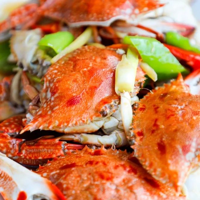 豪门国际官网-追求康健,你我一起生长