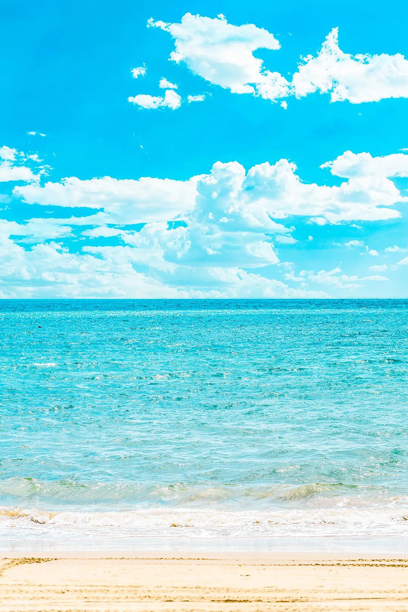 豪门国际官网-追求康健,你我一起生长