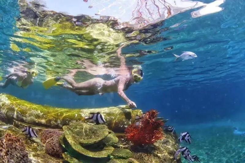 豪门国际官网-追求康健,你我一起生长