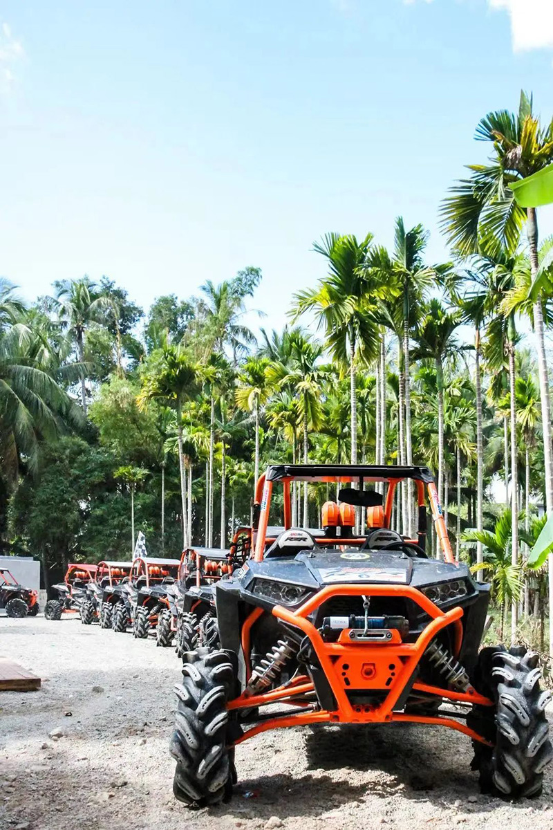 豪门国际官网-追求康健,你我一起生长