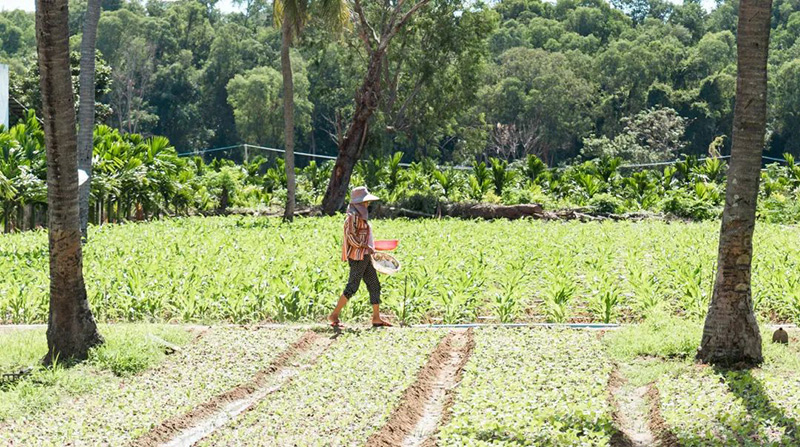 豪门国际官网-追求康健,你我一起生长