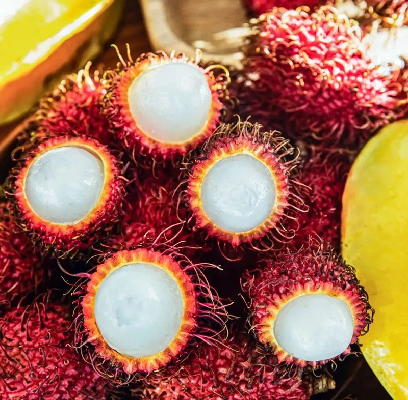 豪门国际官网-追求康健,你我一起生长