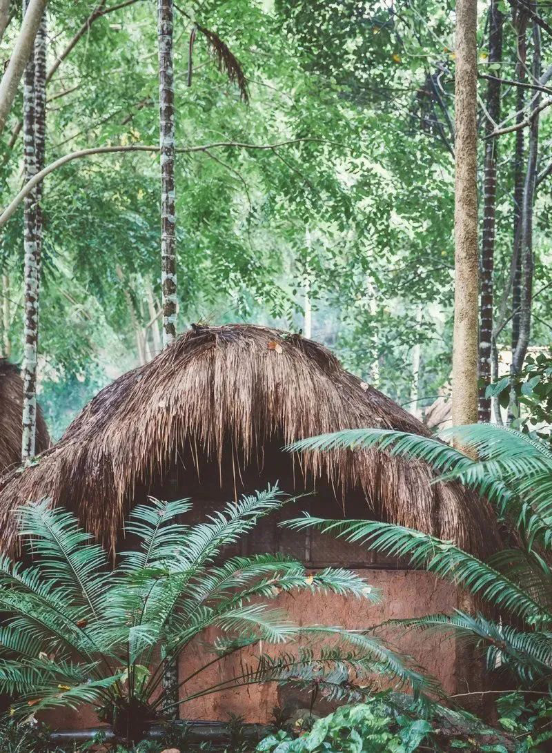 豪门国际官网-追求康健,你我一起生长