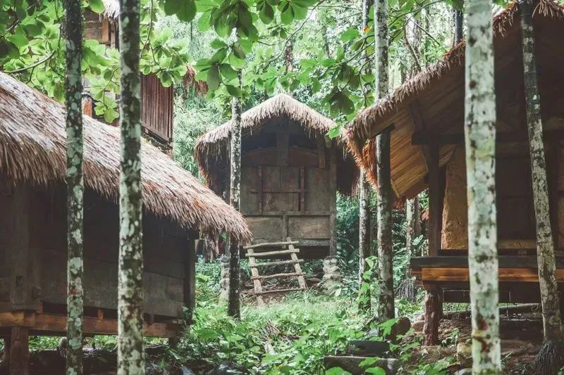 豪门国际官网-追求康健,你我一起生长