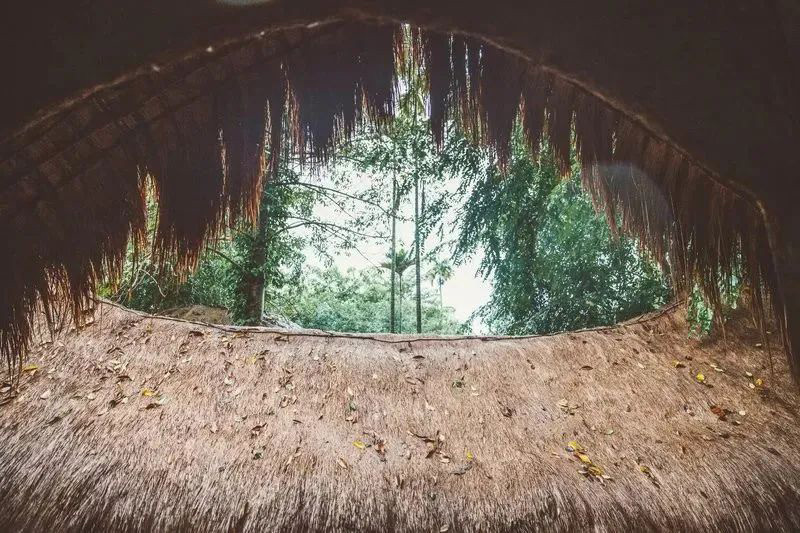 豪门国际官网-追求康健,你我一起生长