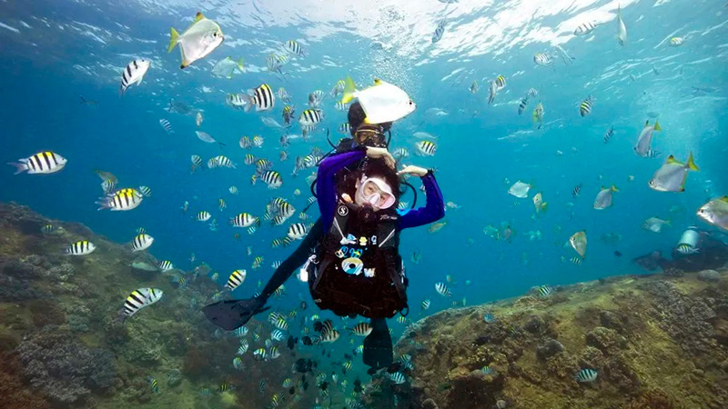豪门国际官网-追求康健,你我一起生长