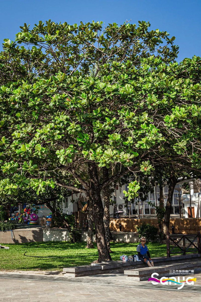 豪门国际官网-追求康健,你我一起生长