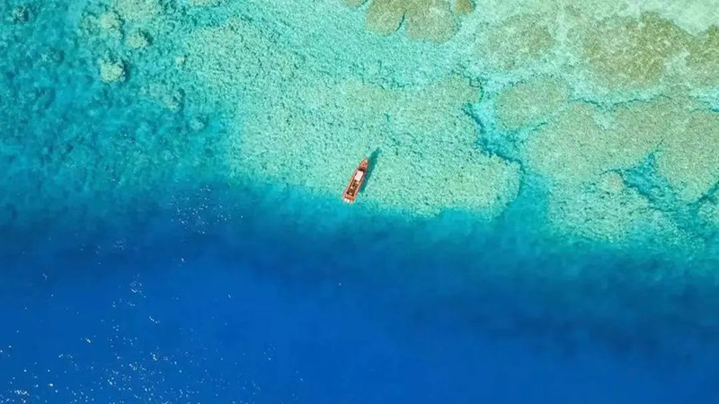 豪门国际官网-追求康健,你我一起生长