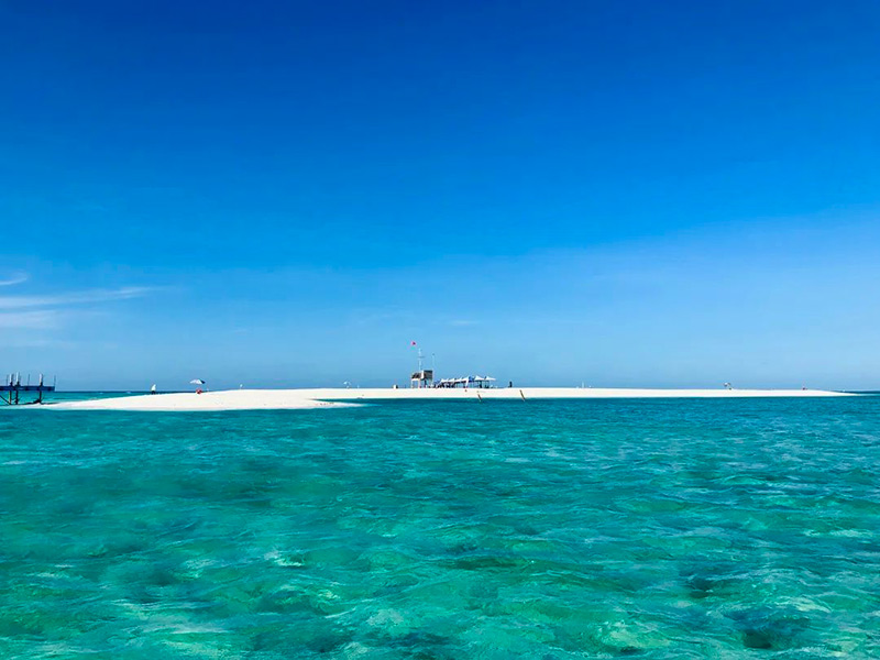 豪门国际官网-追求康健,你我一起生长