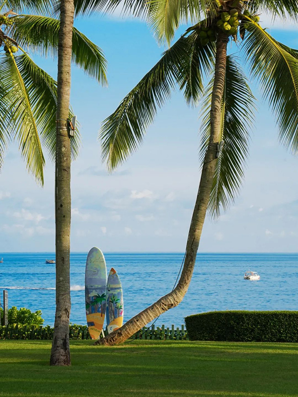 豪门国际官网-追求康健,你我一起生长