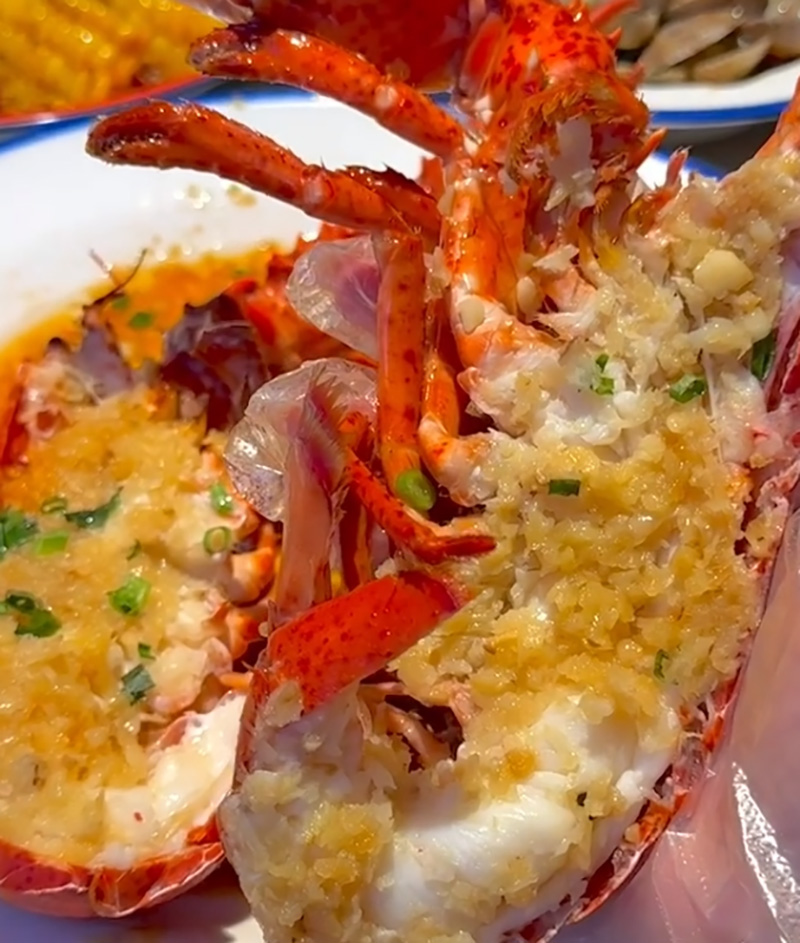 豪门国际官网-追求康健,你我一起生长