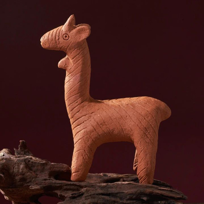 豪门国际官网-追求康健,你我一起生长