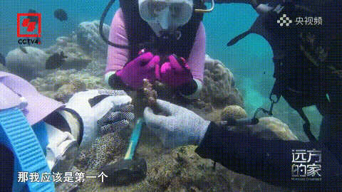 豪门国际官网-追求康健,你我一起生长