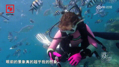 豪门国际官网-追求康健,你我一起生长