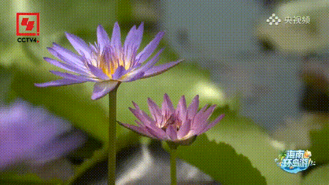 豪门国际官网-追求康健,你我一起生长