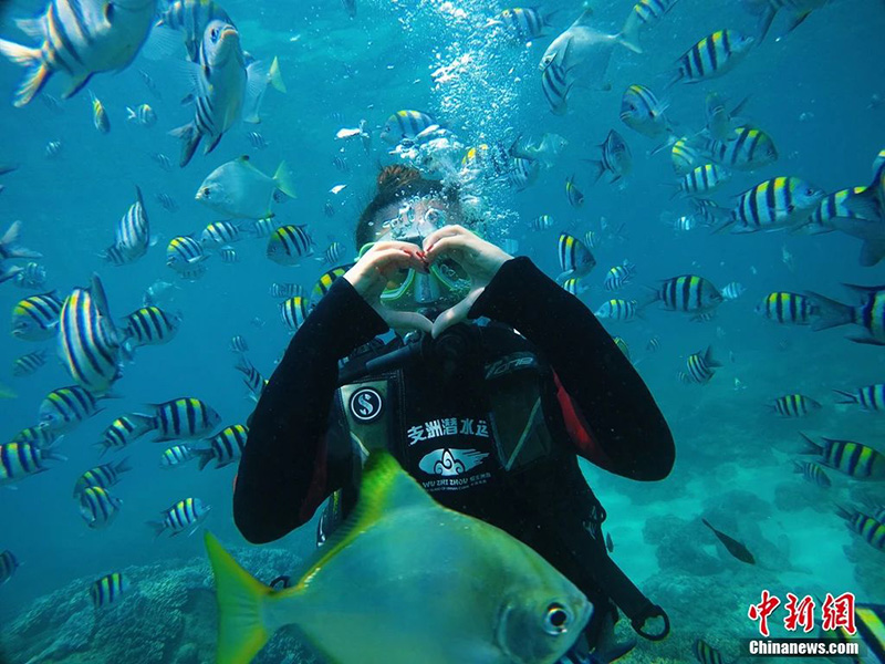 豪门国际官网-追求康健,你我一起生长