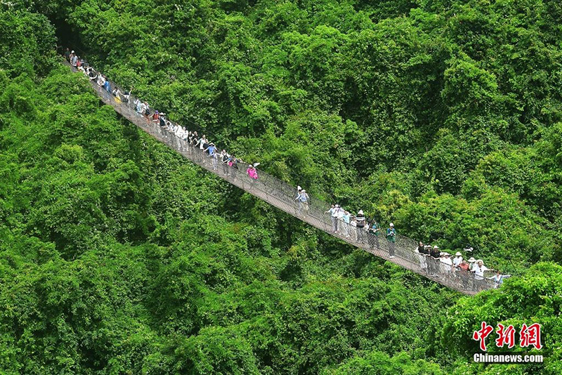豪门国际官网-追求康健,你我一起生长