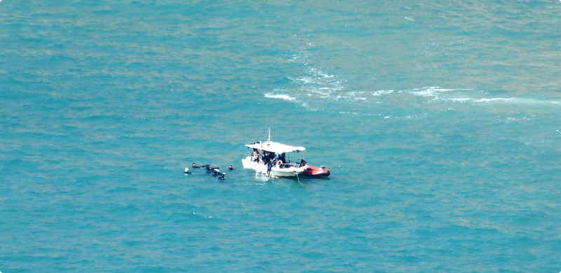 豪门国际官网-追求康健,你我一起生长