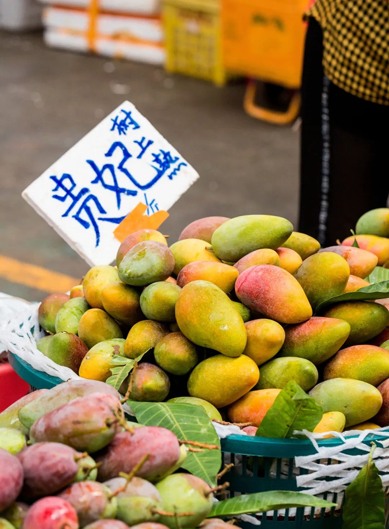 豪门国际官网-追求康健,你我一起生长