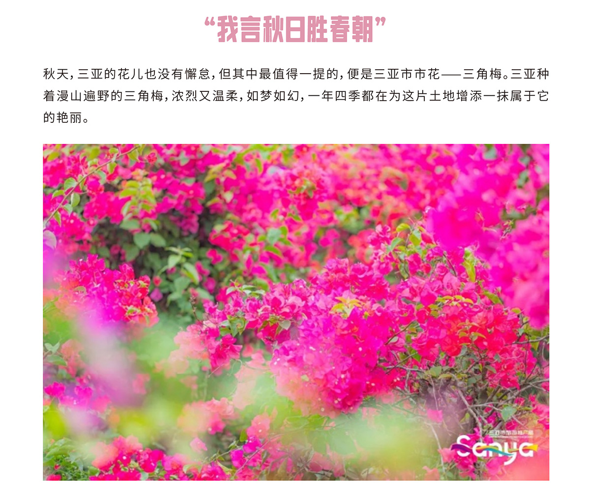 豪门国际官网-追求康健,你我一起生长