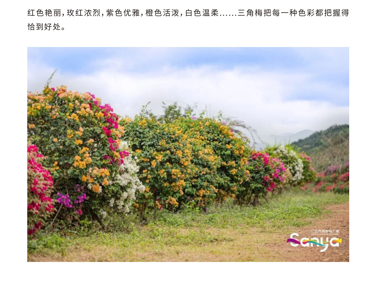 豪门国际官网-追求康健,你我一起生长