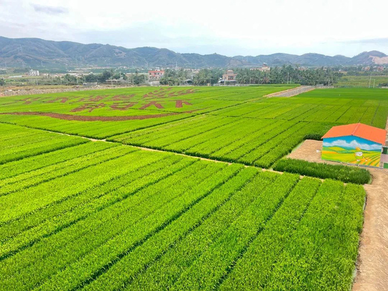 豪门国际官网-追求康健,你我一起生长