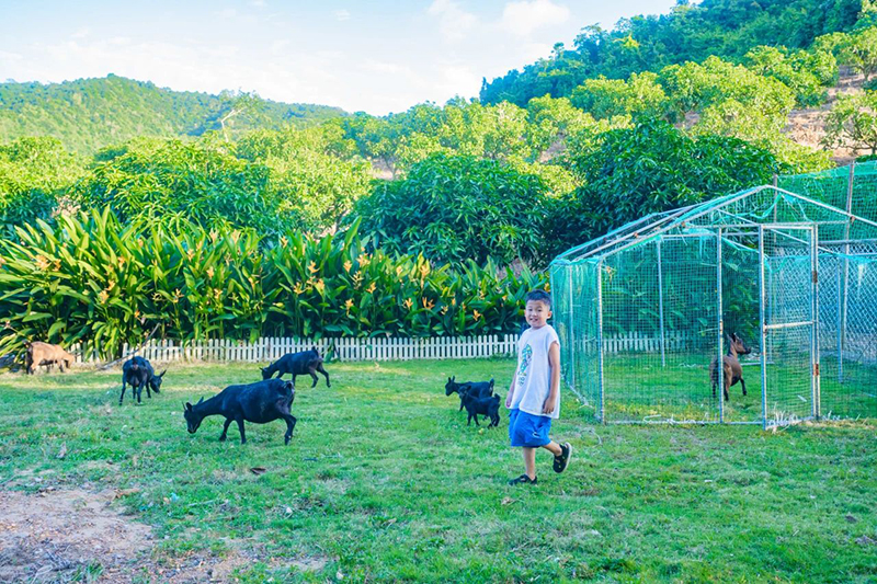 豪门国际官网-追求康健,你我一起生长