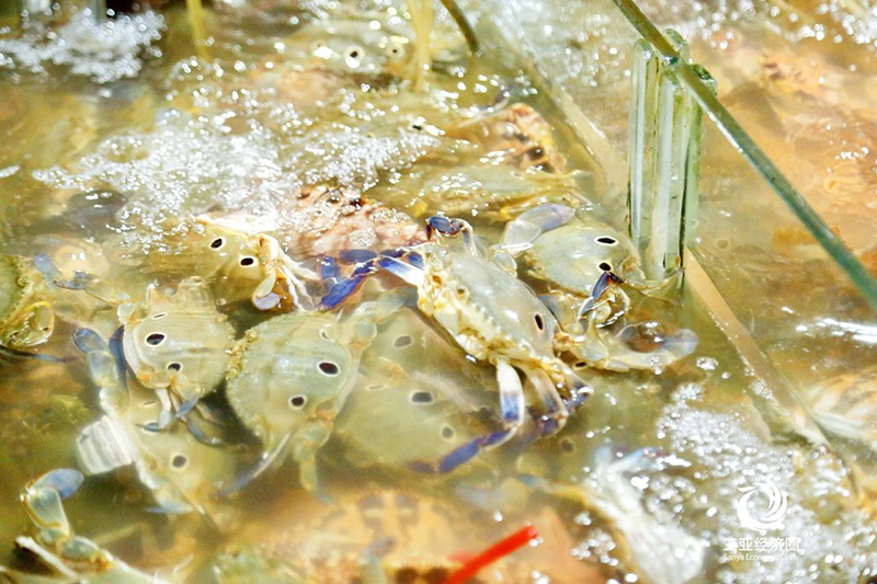 豪门国际官网-追求康健,你我一起生长